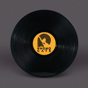 Bespoke 12-Inch Vinyl Record with Full Colour Labels (Black).